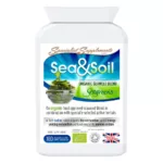 Sea and Soil