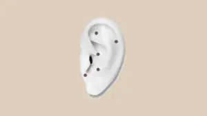 Ear Seed Placement Chart Explained Ear Seed Placement Chart Explained